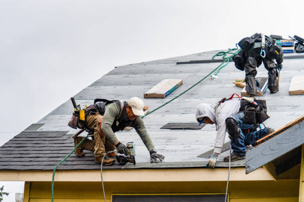 Professional Flat Roof Repair technician working in Farwell, MN